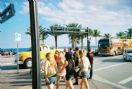 Ocean M - Sweet Spring Break - Comps. - Jersey J 